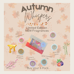NEW Fragrances Limited Edition (Autumn Whispers) - Wax Melts - 6 Pack