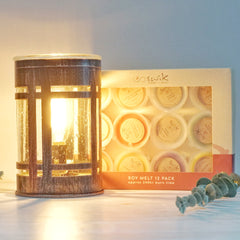 Rustic Glow  Glass - Electric Wax Melt Burner + 12 Melts Pack
