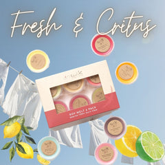 Wax Melts - 6 Pack - Fresh & Citrus Selection