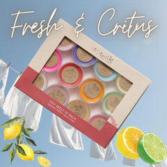 Wax Melts - 12 Pack - Fresh & Citrus Selection