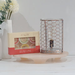 Glass Wire - Electric Wax Melt Burner + 6 Melts Pack