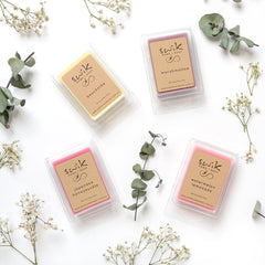 Wax Melts - Clamshell - 3 for $21
